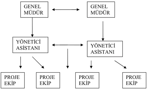 Şekil 3: Organizasyon Şeması 
