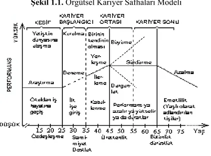 Şekil 1.1. Örgütsel Kariyer Safhaları Modeli 