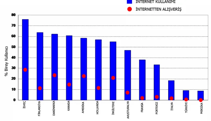 Grafik 5: 2001 Yılı Ülkeler Bazında İnternet Kullanımı ve Elektronik Ticaret Oranları  Kaynak: Tim Davis, ICT Measurement, The Canadian Experience, Cenevre, 18 