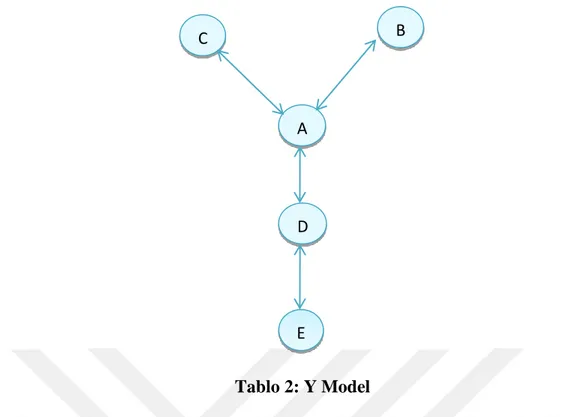 Tablo 2: Y Model 