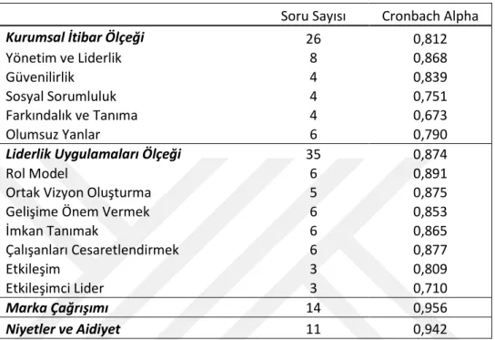 Tablo 6.1: Ölçeklerin Tutarlılık Analizi(N=200) 