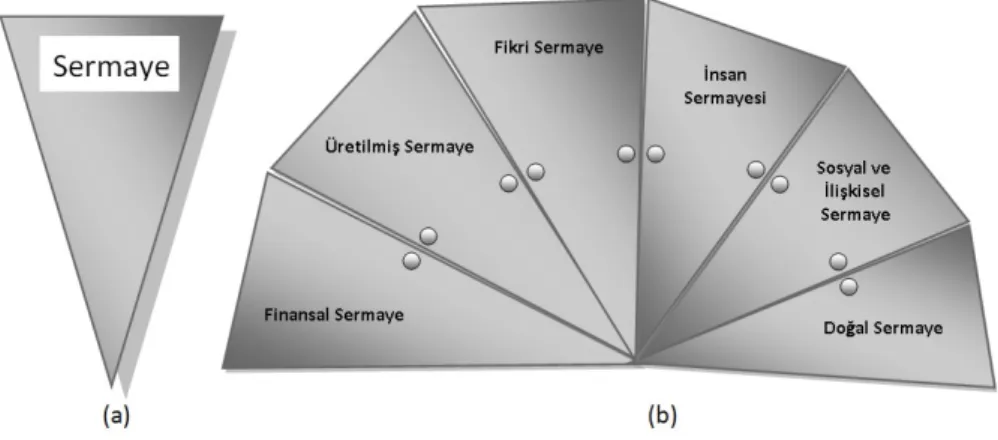 Şekil 1: Sermaye Öğeleri (Aydın, 2015)