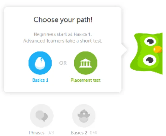 Figure 3: Beginner interface 