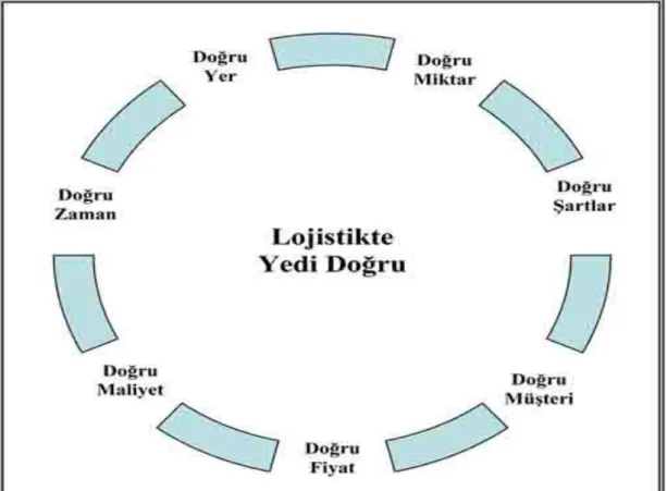 Şekil 3.3 Lojistikte Yedi Doğru  Kaynak: Raf Grup. 2006.  