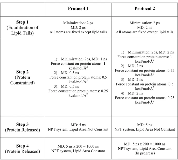 Table 2.1. Protocols used in MD simulations. 