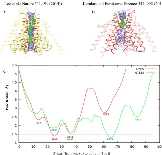 Figure 3.3. Pore profiles of TMDs in structures (A) 4TLM (yellow) and (B) 4PE5 (red). The small 