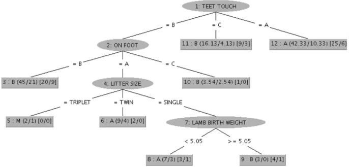 Fig. 1. Lamb behavioral REPtree classification for successful suck event.  