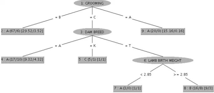 Fig. 2. Mothering ability REPtree classification tree.   Table 2 