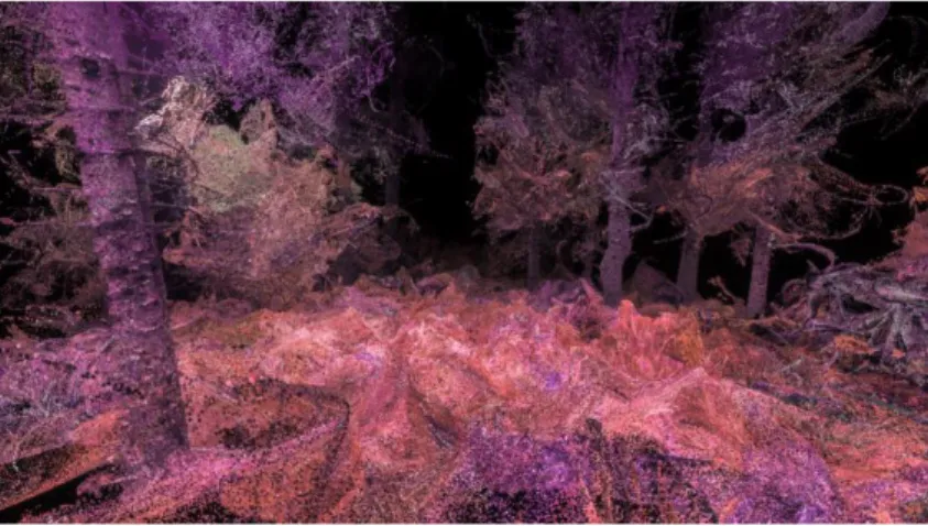 Figure 4.2: Marsmallow Laser Feast Group, “In the Eyes of the Animal”, 2015 