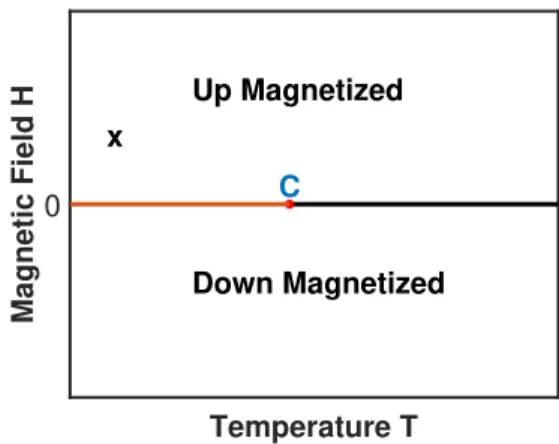 FIG. 1. Phase diagram of the ferromagnetic Ising model for d > 1. The equilibrium phases are indicated