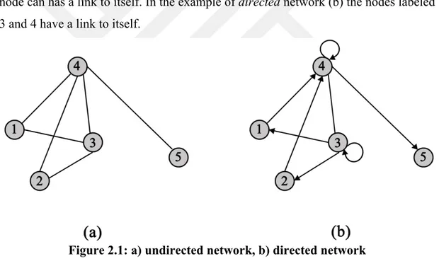 Figure 2.1: a) undirected network, b) directed network 