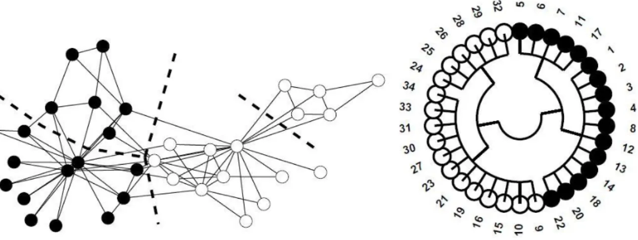 Figure 2.2: The Zachary Karate Club network (on the left) &amp; polar-coordinate dendogram the network (on the right)  (Zachary, 1977) 