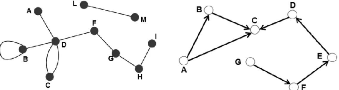 Figure 2.2: Example of both directed and undirected graph in a network. 