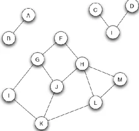 Figure 2.3: Example of network components in an undirected network.  Centrality 