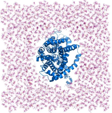 Figure  3.3.3  The position of the DAT model in  a room which is  made for DAT in  the cell membrane