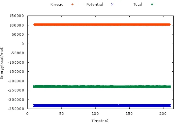 Figure  3.3.10.  Kinetic,  potential  and  total  energy  values  of  DAT  model,  which  is  obtained from MD simulations