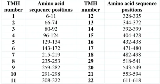 Table 3.7.Start and end points of transmembrane helices (TMHs) of after MD DAT  model detected computationally by using VMD program