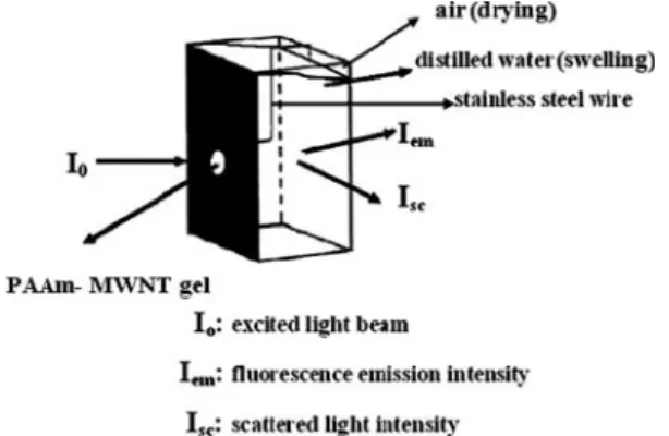 Figure 2 shows the emission spectra of pyranine from PAAm–MWNT composite gel during the drying process at 30 and 60 °C for 3 wt% MWNT content samples