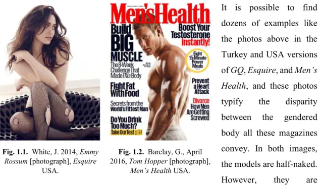 Fig. 1.1.  White, J. 2014, Emmy  Rossum [photograph], Esquire 