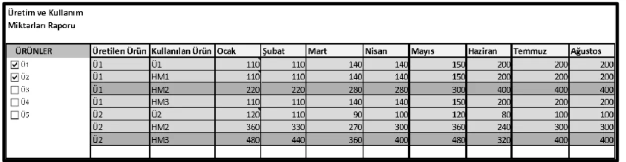 Şekil 2.19 : Üretim ve kullanım miktarları raporu prototip. 