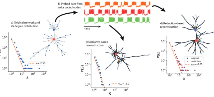 Figure 1. Reconstruction of Networks Dynamics. Measuring the state of each node in time we access the performance