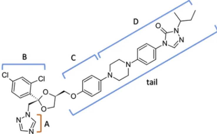Fig. 1. (single column). Common pharmacophores in azole antifungals represented on itraconazole: a heme-coordinating group (A), a phenyl or halogenated phenyl ring (B), an aromatic ring (C), and additional lipophilic groups (D)