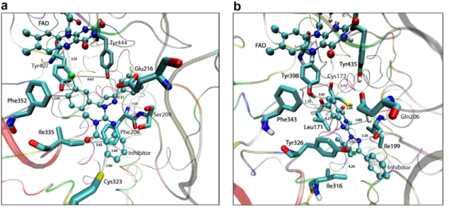 Figure 8. (a) Binding model of 5l in MAO-A active site. (b) Binding model of 5l in MAO-B active site.Figure 7