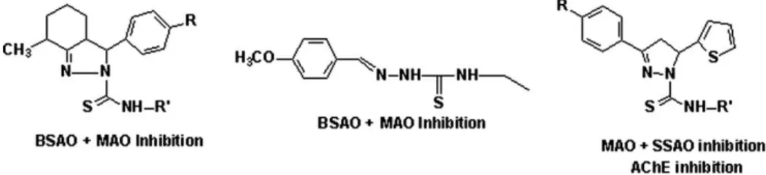 Figure 1. Pyrazole derivatives having MAO, SSAO, and BSAO inhibition.