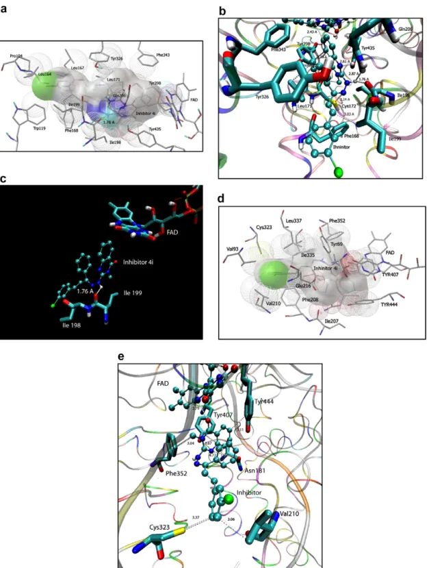 Figure 4. (a) Compound 4i in the active site- of MAO-B. The shaded volume shows the van der Waals volume of the inhibitor 4i