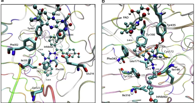 Figure 5. (a) Binding model of 4k in MAO-A active site. (b) Binding model of 4k in MAO-B active site.