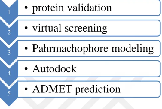 Figure 1.1: Schematic diagram of brief illustration on research methodology 