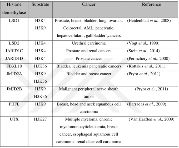 Table 2.3: List some histone lysine demethylases involved in different cancers      Histone 