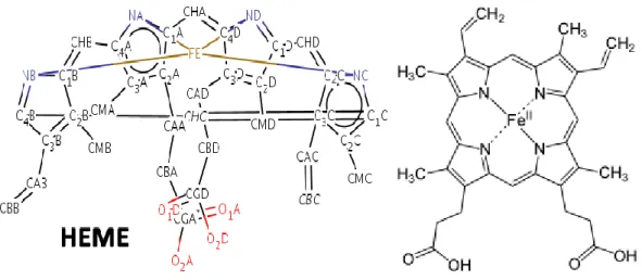 Figure 7 NOS Cofactor Heme C 34 H 32 FeN 4 O 4  Protoporphyrin IX Containing FE 