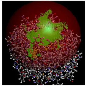 Figure 10: Docking in AccelrysDS: Cavity and  chosen binding site sphere is shown 