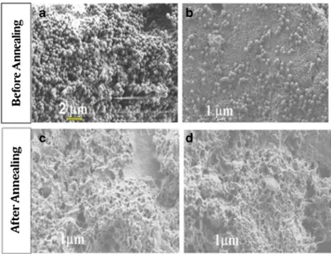 Fig. 2 SEM pictures of composite films prepared with 15 and 40 wt% MWNT content before annealing (a, b) and after annealing at 170 ° C (c, d), respectively