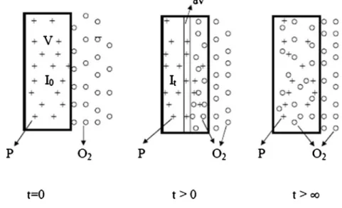 Fig. 5 Cartoon representation of oxygen diffusion into a latex film