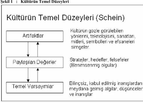 Şekil 1   :   Kültürün Temel Düzeyleri 