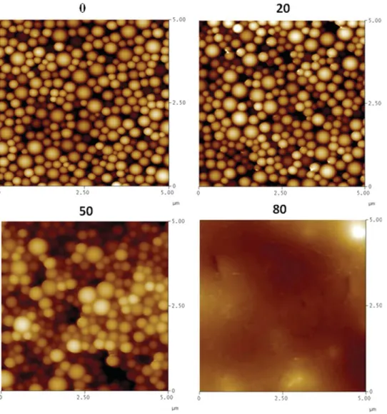 FIG. 14. AFM micrograph of 0, 20, 50, and 80 wt% PBA content blend ﬁlms (Series 1) annealed at 100 8C for 10 min