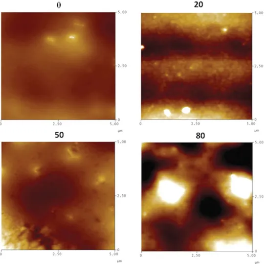 FIG. 15. AFM micrograph of 0, 20, 50, and 80 wt% PBA content blend ﬁlms (Series 1) annealed at 150 8C for 10 min