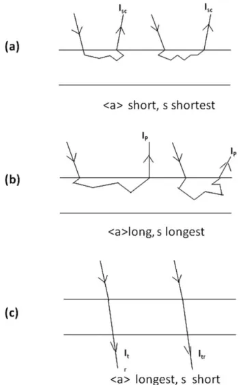 FIG. 10. Logarithmic plots of I P data in Fig. 5 versus inverse of