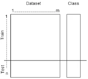 Figure 5: Model Estimation 
