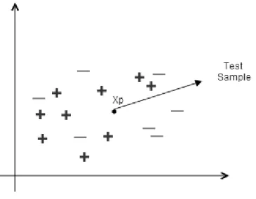 Figure 8: Set of negatives and positives 