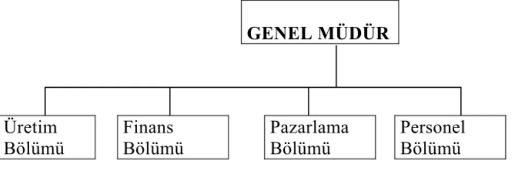 Şekil 2.1:  Basit Bir Organizasyon Yapısında Örgütsel Fonksiyonlar 