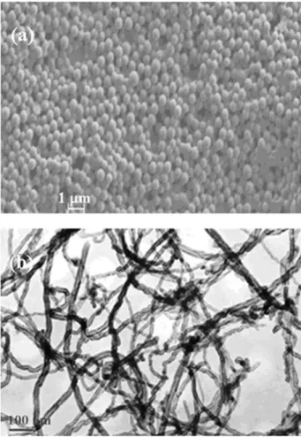 FIG. 1. (a) SEM picture of pure PS latex. (b) TEM picture of MWNT.