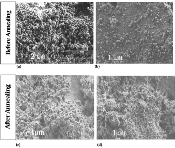 FIG. 8. SEM pictures of composite films prepared with 15 and 40 wt% MWNT content before annealing (a,b) and after annealing at 170  C (c,d), respectively.