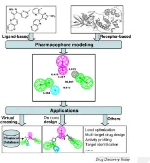 Figure 2.2 Pathway of the Pharmacophore Model (Andricopulo, Salum and Abraham, 2009)