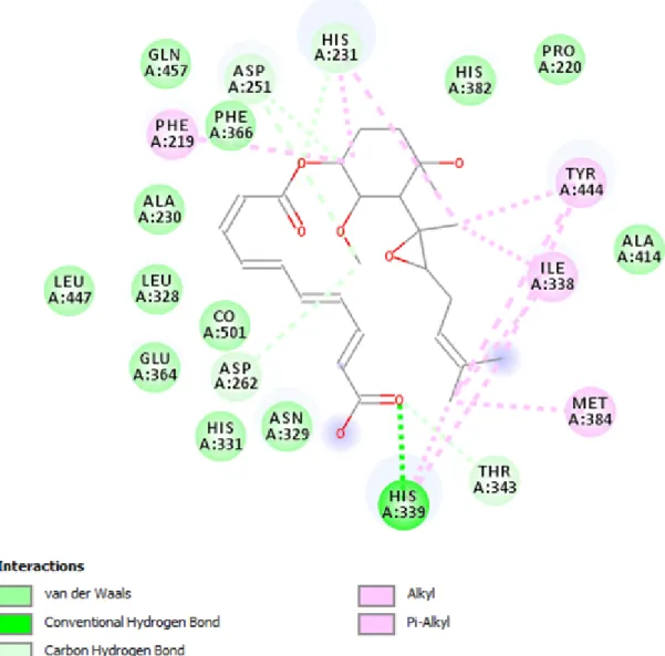 Figure 3.2 2D scheme showing diverse interactions such as Vander Waals, pi-sigma, Carbon Hydrogen bond, etc