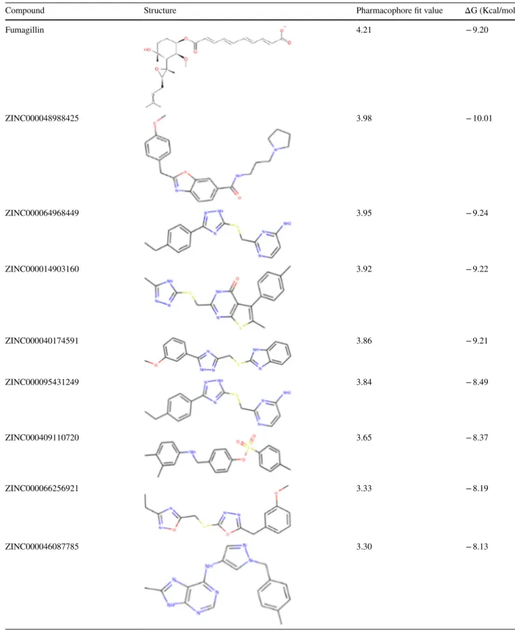 Table 2    Calculated binding affinity of the best 10 compounds