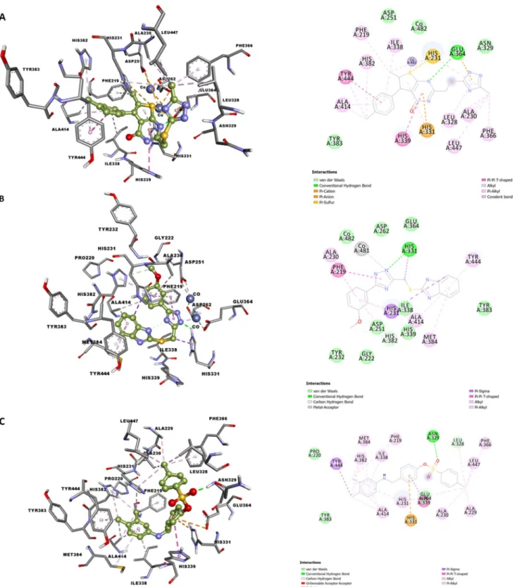 Fig. 3    Interaction between MetAP2 and ligands. a ZINC000014903160. b ZINC000040174591
