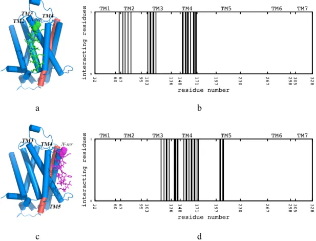 Figure  3.4  (a)  Snapshots  of  the  short  peptide’s  best  pose  (green)  in  box  #1,  (b)  the  corresponding  profile  of  the  neighboring  residues,  (c)  snapshot  of  the  short  peptide’s  pose  from  highest-populated  cluster  (magenta)  in  b